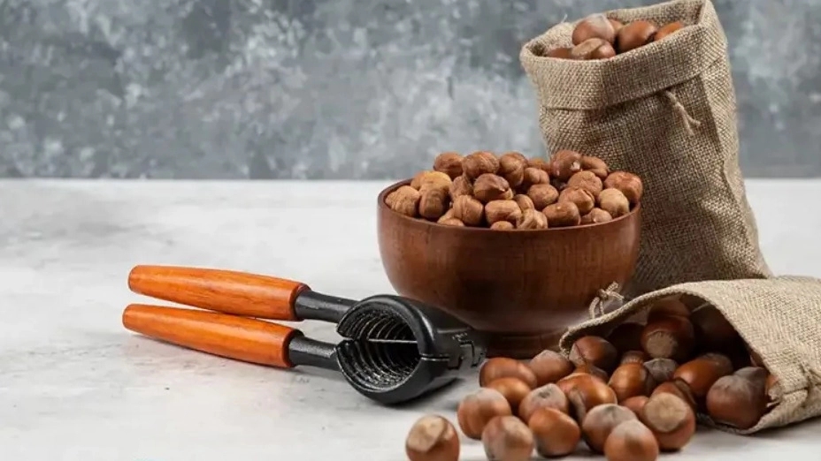 نکات مهم در خرید فندق