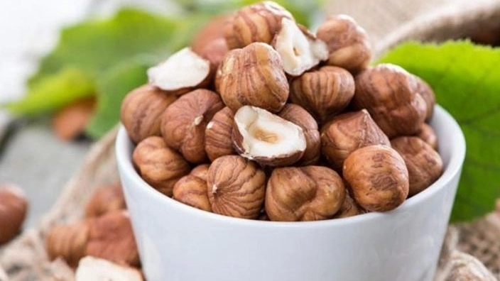 خرید فندق