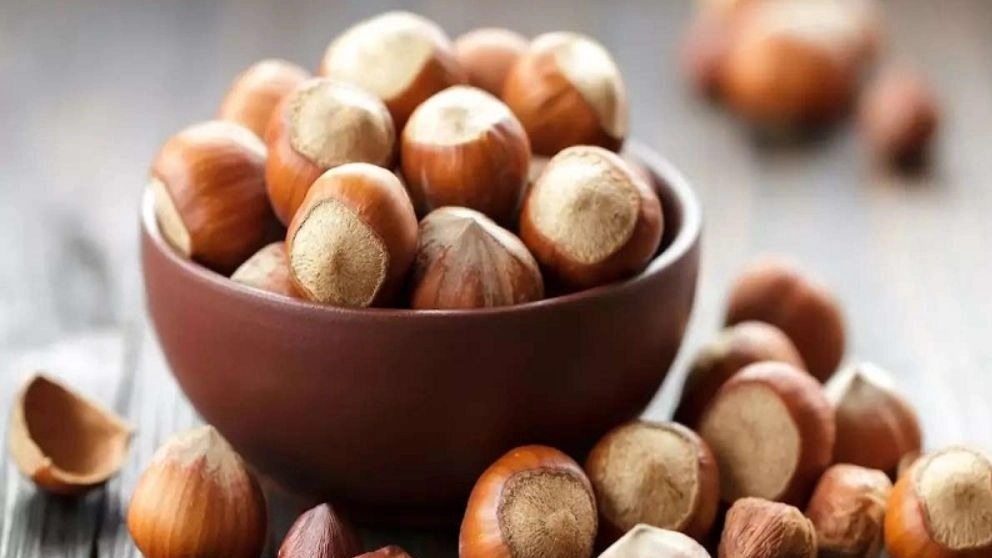 مرکز خرید و فروش فندق