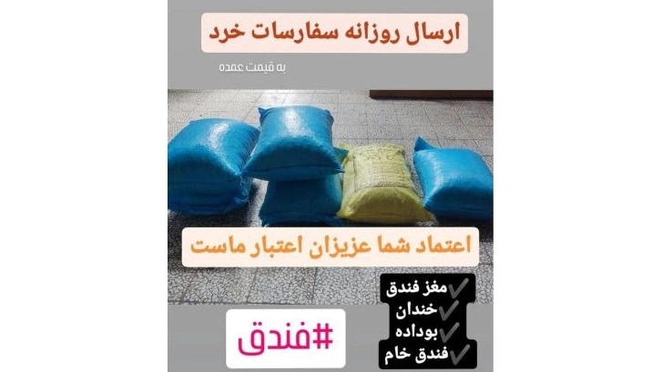 فراوری فندق در گیلان