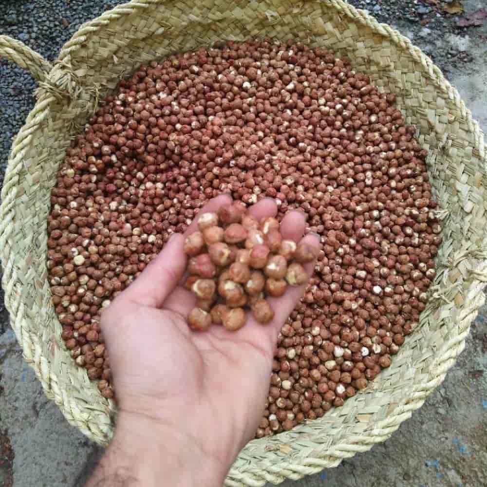 Raw peeled hazelnuts