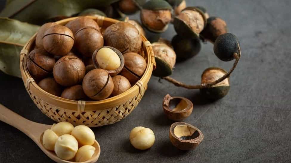 فروش عمده فندق
