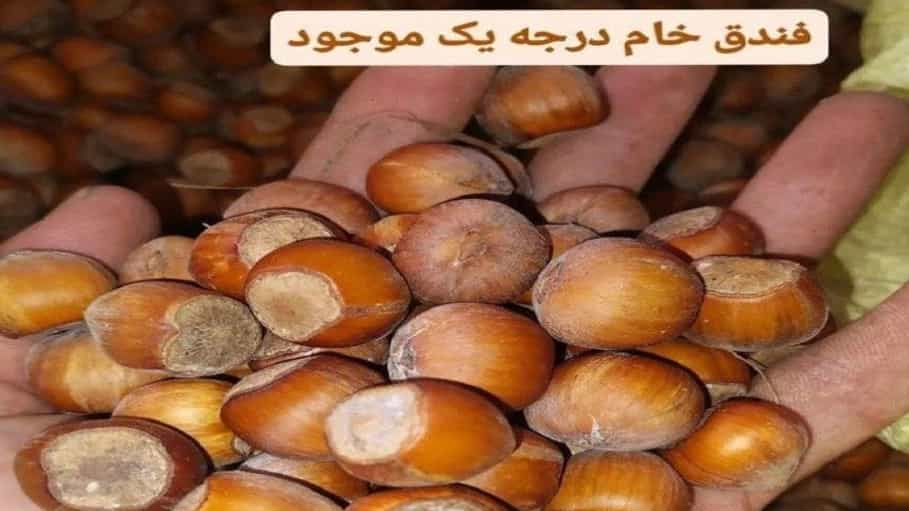 کارخانه فندق طلای اشکور