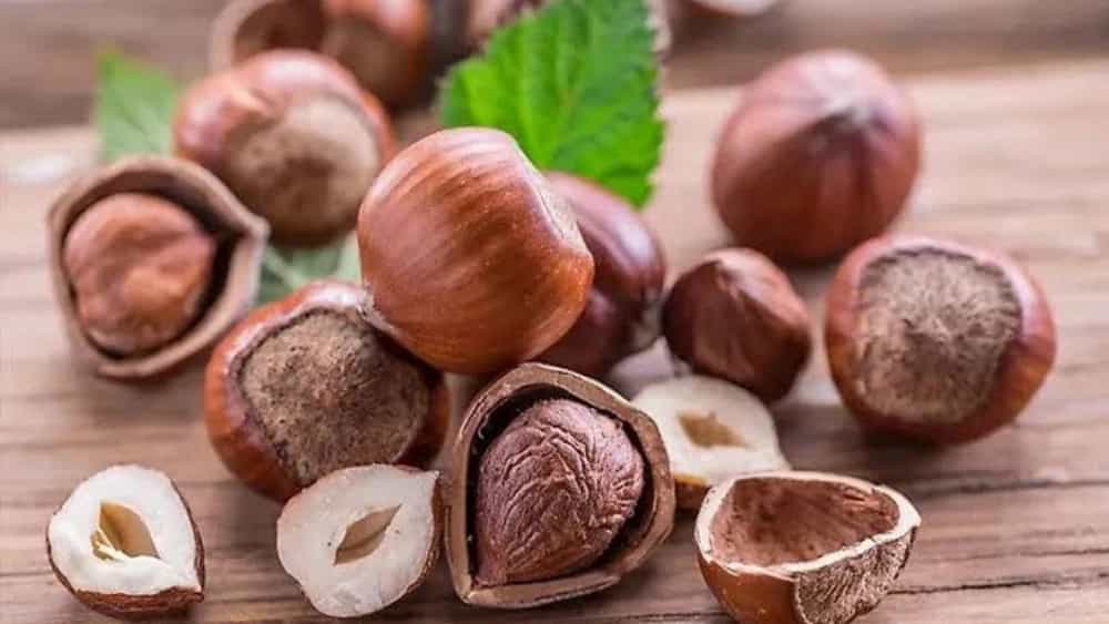 فروش عمده فندق باکیفیت با بهترین قیمت روز