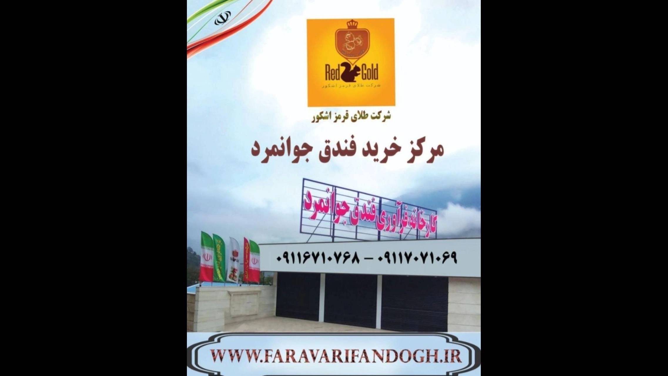 فرآوری فندق گیلان
