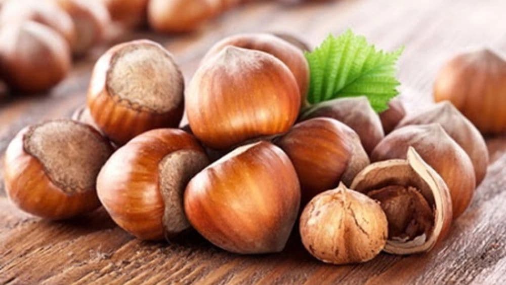 کارخانه فندق طلای اشکور