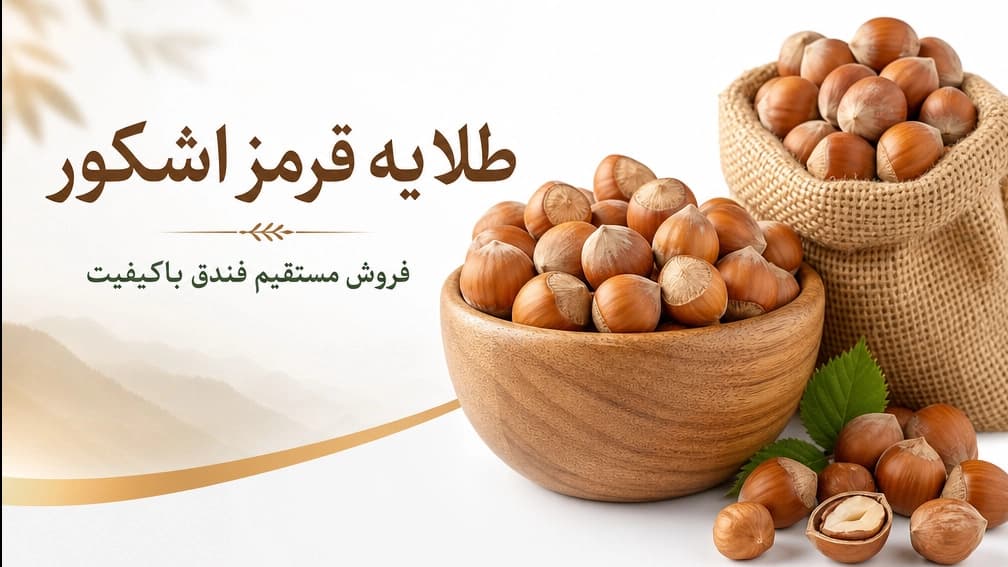 صادرات فندق