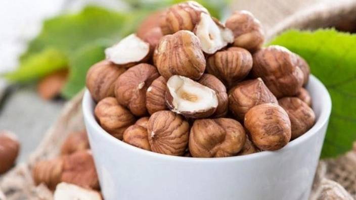خرید فندق خرید فندق